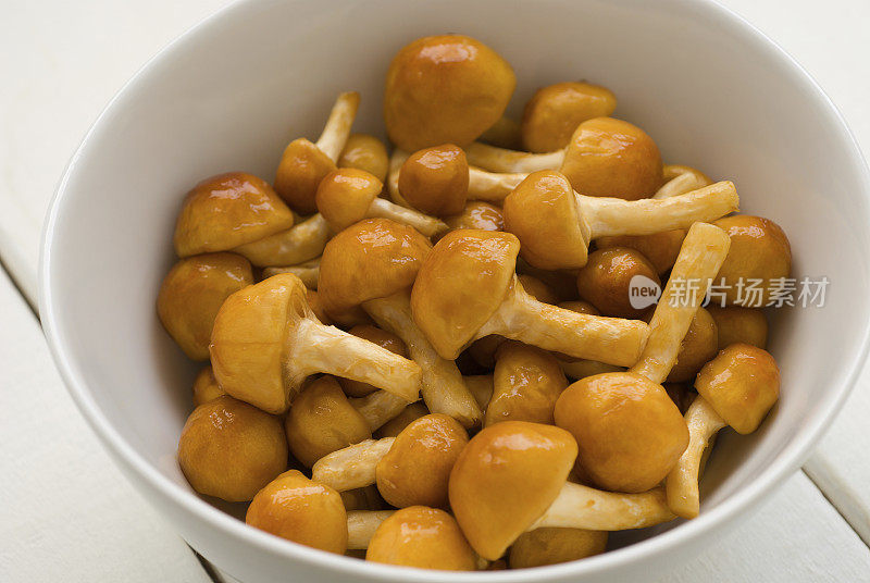 蘑菇(Pholiota nameko)